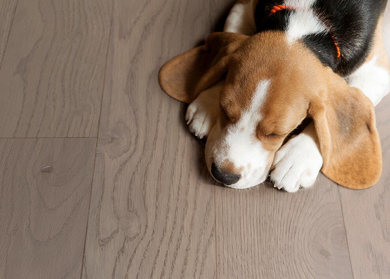 得高抗菌型環保地板,讓家居更安心 圖片7 得高抗菌型環保地板,讓家居更安心 圖片7
