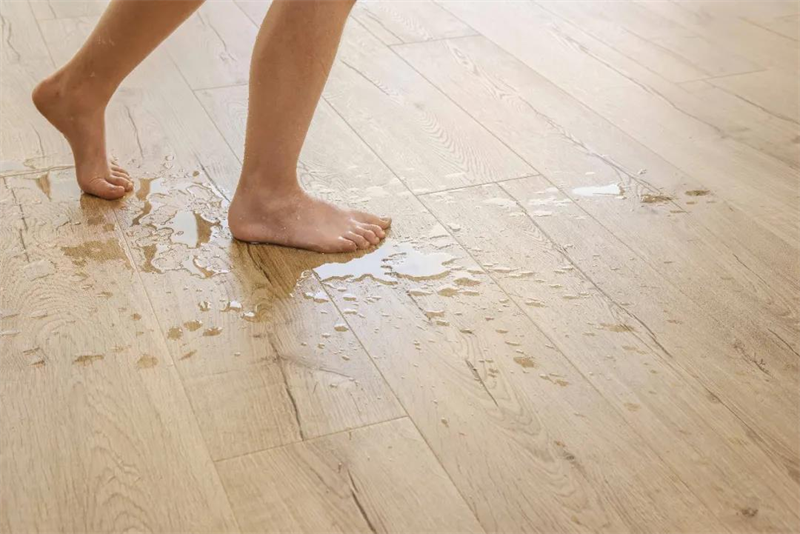 《乘風破浪的不止姐姐們,還有這些超帥的騎手》 圖片 7 《乘風破浪的不止姐姐們,還有這些超帥的騎手》 圖片 7