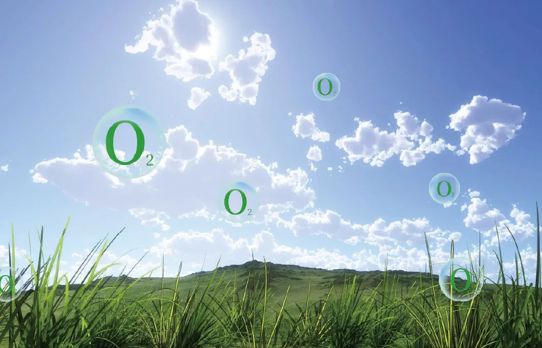 如何養成智慧大腦,讓我們一起探索其中的奧秘 image2 如何養成智慧大腦,讓我們一起探索其中的奧秘 image2