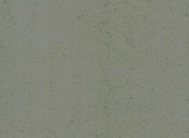 皮質系列,LF006,進口地板